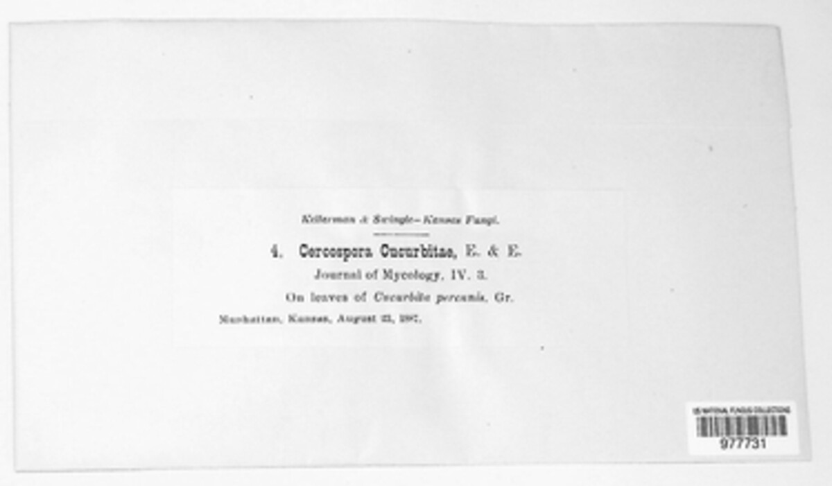 Didymella bryoniae image